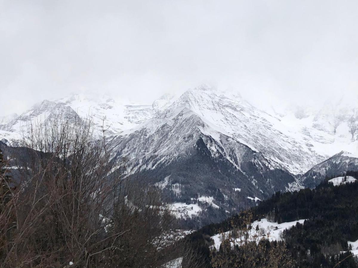 Petite Marmotte Apartman Saint-Gervais-les-Bains Kültér fotó
