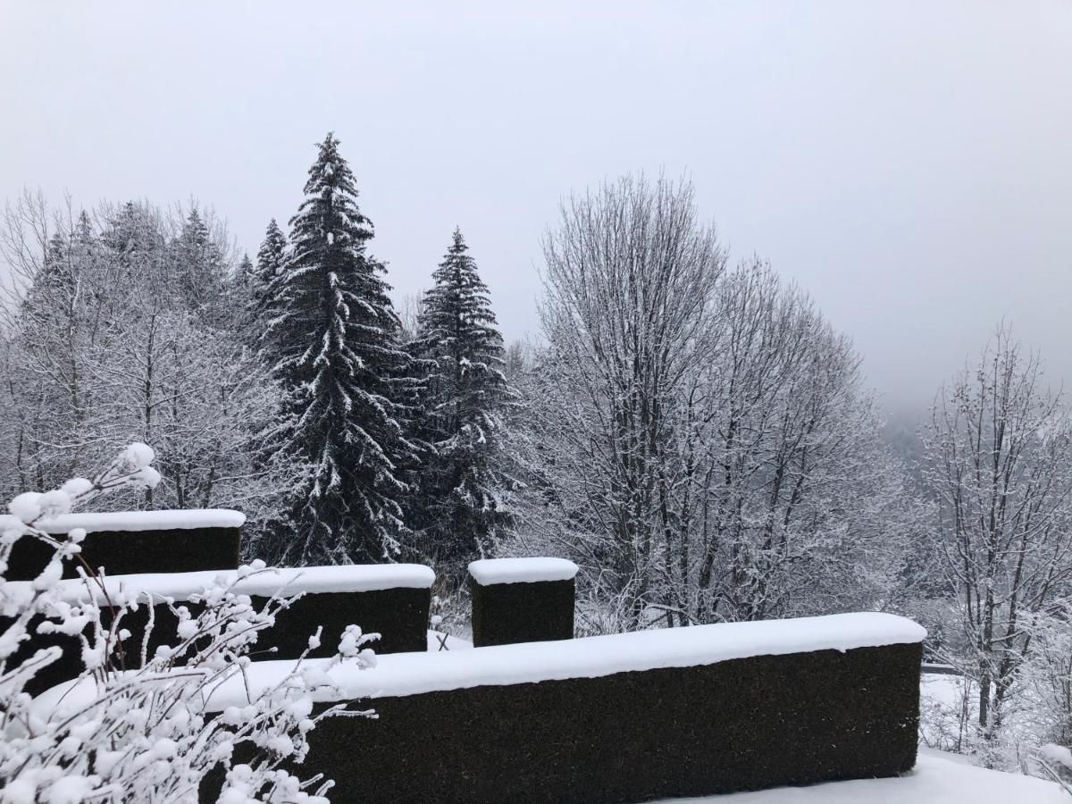 Petite Marmotte Apartman Saint-Gervais-les-Bains Kültér fotó